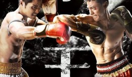 电视剧拳王在线观看,热血激战，荣耀归来