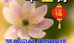 早安最新爆料新闻内容,揭秘最新爆料背后的惊人真相